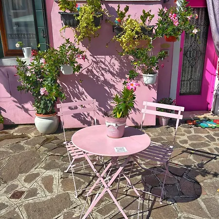 Pink Paradise
